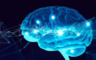 Brain Computing