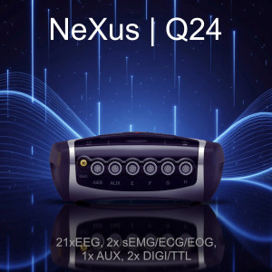 NeXus | Q24 