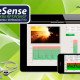 eSense