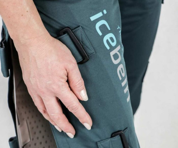 Icebein Legs I
